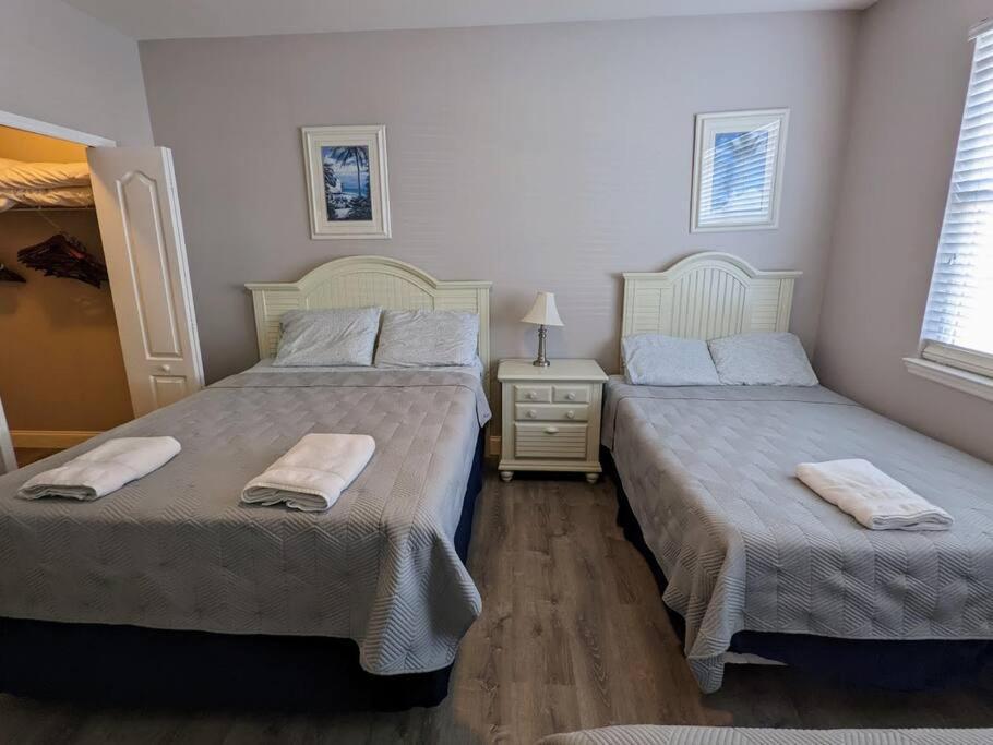 Nice & Cozy - Vacation Home Kissimmee Exteriör bild